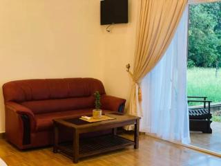 Dhanwanthari Home Stay Habarana - Moragaswewa - 3