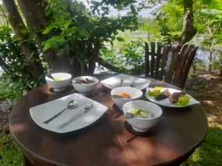 Dhanwanthari Home Stay Habarana - Moragaswewa - 2