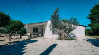 Tenuta Pizzi - San Pietro Vernotico - 7