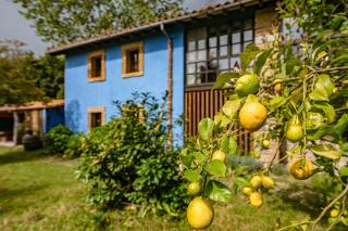 La Quintana de la Foncalada - 9