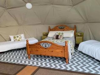 Frowen Fields Eco Glamping and Camping - Whitland - 1