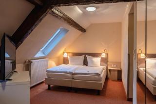 Hotel Altes Weinhaus - Neustadt an der Weinstraße - 2