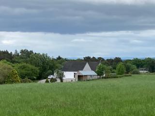 Clashmore Wood - 8