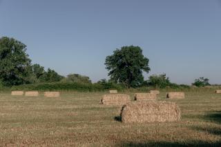 TerraCabins - Malagueiro - Benavente - 1