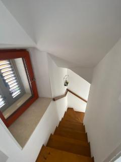 Cesarica - 7