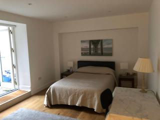 Two bedroom modern basement apartment - Dublino - 5