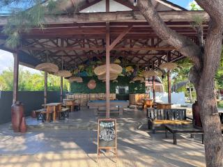 Jungle Gili Air - 4
