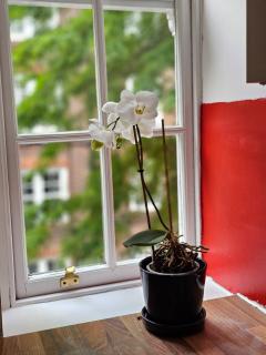 Flat in Hammersmith - Close to tube station - Londra - 5
