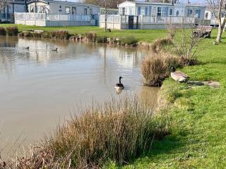 Sweet Bay Laurel at the peaceful Cherry Lea Holiday Park & Fishing Lake - Burgh le Marsh - 5