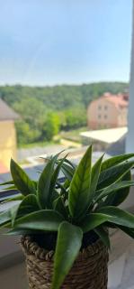 Apartment Smart Canyon Старе місто Центр - Kam"janec'-Podil's'kyj - 2