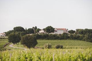 San Tomasini Heritage Hotel & Wedding Venue - Višnjan - 2