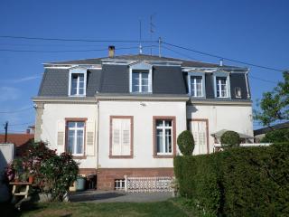 Studio-appartement à proximité d'une maison de Maître de 1904 - Haguenau - 9