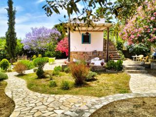 Lemon Tree Cottage - 9