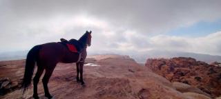 Petra Wassaif Camp - Wadi Musa - 1
