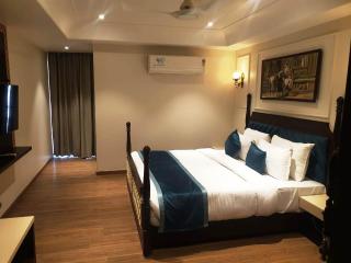 Heena Heritage Resort - Jaipur - 8