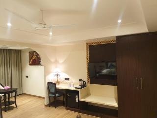 Heena Heritage Resort - Jaipur - 7