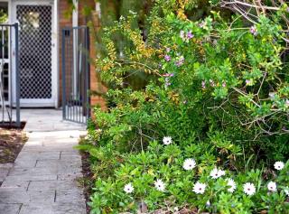 Cottesloe Studio Getaway - Perth - 1