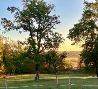 Cottage with swimming pool, pool house and view ! - Dévillac - 3