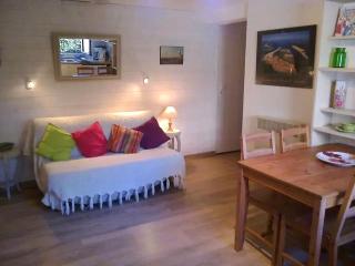Agréable appartement avec jardin entre plage et forêt - La Teste-de-Buch - 9