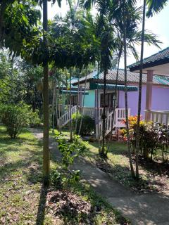 Khaosok gallery & camp - 4