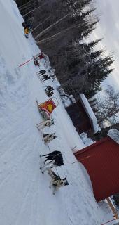 Vindelälv Stuga in Blattnicksele - Blattnicksele - 4