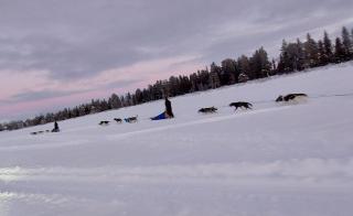 Vindelälv Stuga in Blattnicksele - Blattnicksele - 2
