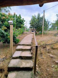 Chácara Relíquias da Canastra - 4