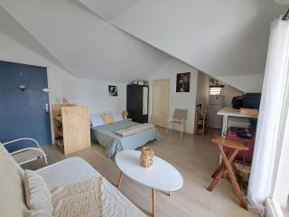 Grand studio varangue lagon La Saline - 4