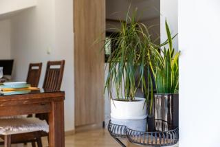 LuSi SeaView Apartment - Kotor - 7