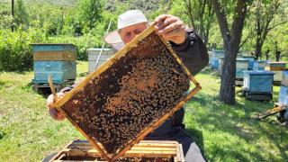 Bee House - - 6