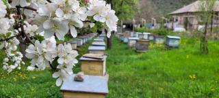 Bee House - - 7