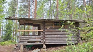 Metsäsydän mökki 5 Mörrimöykky - 7