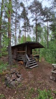 Metsäsydän mökki 5 Mörrimöykky - 8