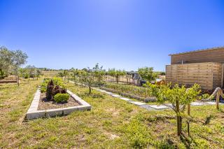 Craveira Country House Monte da Craveira - Sonega - 1