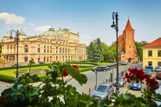 Pollera - Cracovia - 4