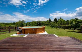 Cozy Home In Klostar Ivanic With Sauna - Kloštar Ivanić - 4