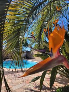 Villa Calisté Mit Privatpool Und Mietwagen - - 5