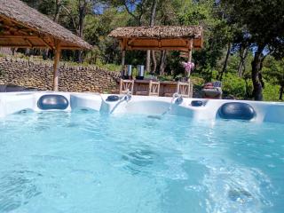 Gîte Lavande jardin 33 hectares piscine Spa Sauna au cœur de Provence - Saumane-de-Vaucluse - 9