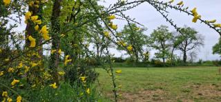 Cottage Confort 1 Ch - Mareuil-sur-Lay - 2