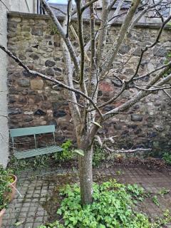 ScottishBorders Townhouse - Duns - 2
