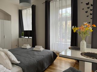 Praha 1 Florenc Hlavní mesto Romantic Apartments - Prag - 4