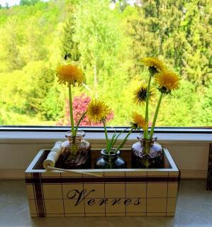 Ferienwohnung Sander - - 6