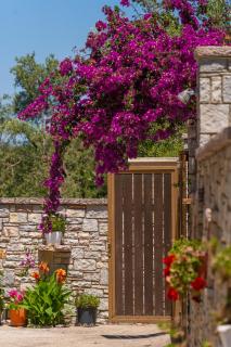 Olivet Hotel - Vlorë - 4