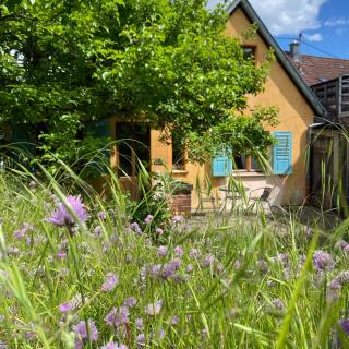 Chez Mamie - Katzenthal - 0