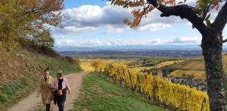 Chez Mamie - Katzenthal - 1