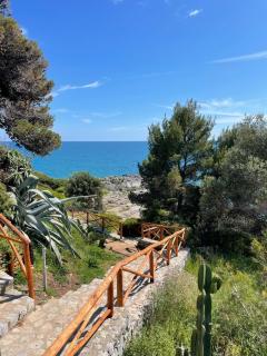 Piccolo Amore - Camerota - 9