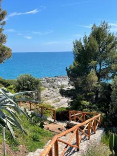 Piccolo Amore - Camerota - 7