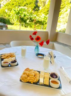 Guesthouse Camping Breeze of the Drin - Vau i Dejës - 7
