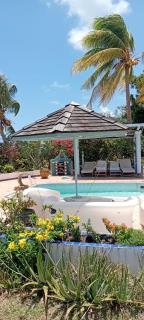 The Beach House and 2 appartments for full or separate rental, all with pool and private beach - Oranjestad - 5