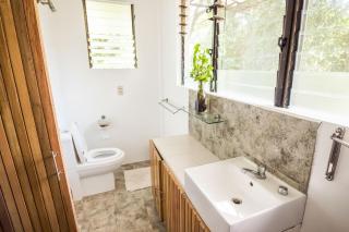 KAHILOM Nest Self-Service Home in Rainforest Nest with Kitchen - Pet Friendly, Monkeys, Bats! - - 1
